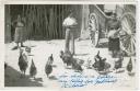 Dando de comer a las gallinas en el patio de la antigua casa de los Zorritos - Año: Hacia 1945 - Cedida por: Juan Fernández García - Autor: Desconocido