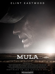 $htmlUtil.escape($Titulo.getData())