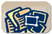 Page Icon