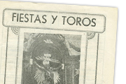 Page Icon
