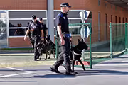 Policía